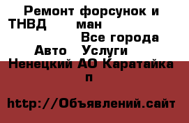 Ремонт форсунок и ТНВД Man (ман) TGA, TGL, TGS, TGM, TGX - Все города Авто » Услуги   . Ненецкий АО,Каратайка п.